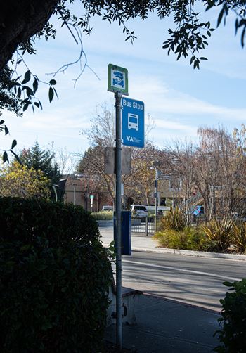 Nearby bus stops